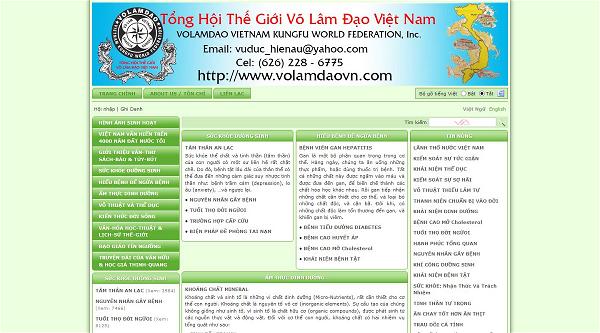 vnvn-web-online-tong-hoi-vo-lam-dao-vn